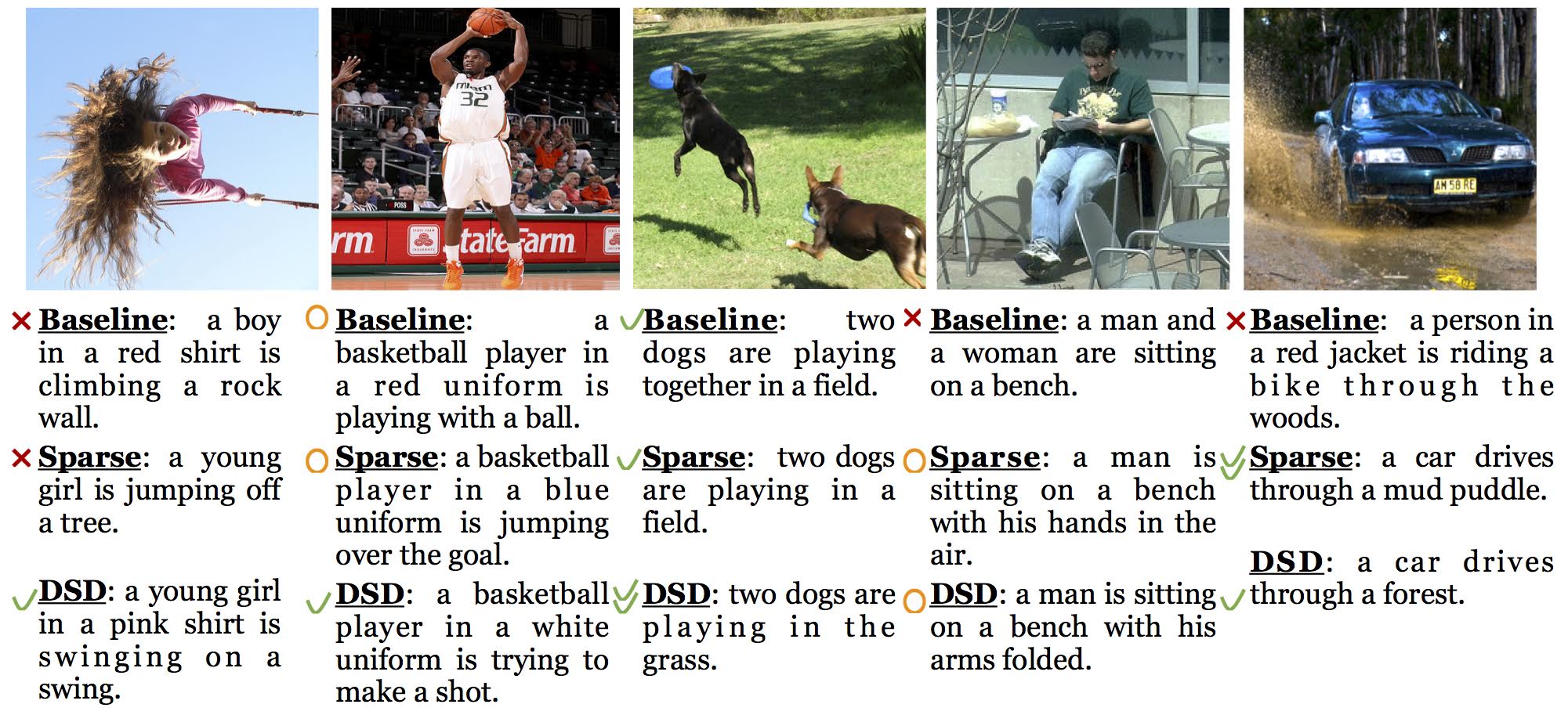 Visualization of DSD training