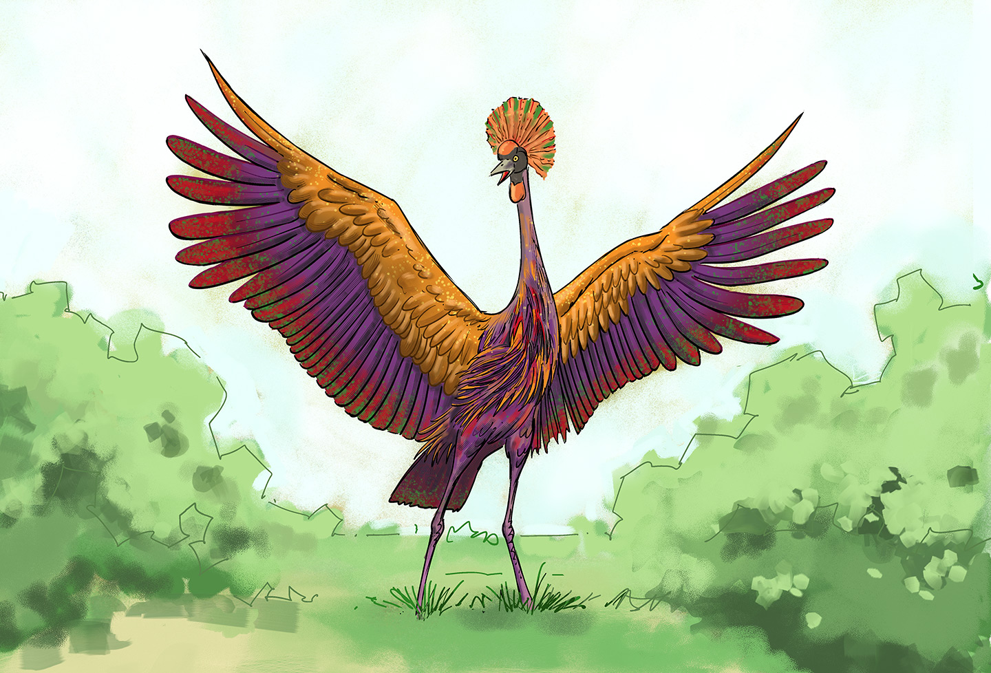 A single magnificent grey crowned crane, wings spread. It is extremely colorful.