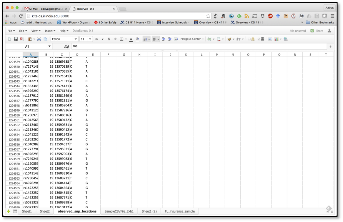 DataSpread screenshot
