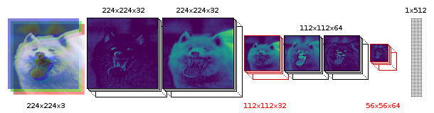 four convolutional network