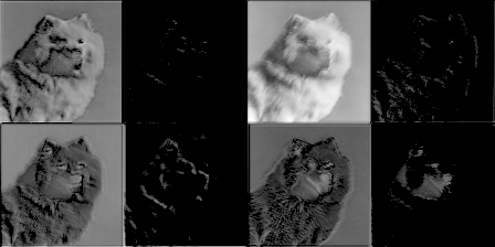 Visualize evolving filters 2