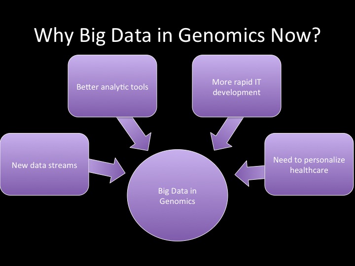 genomics and the role of big data in personalizing the healthcare data analysis experience