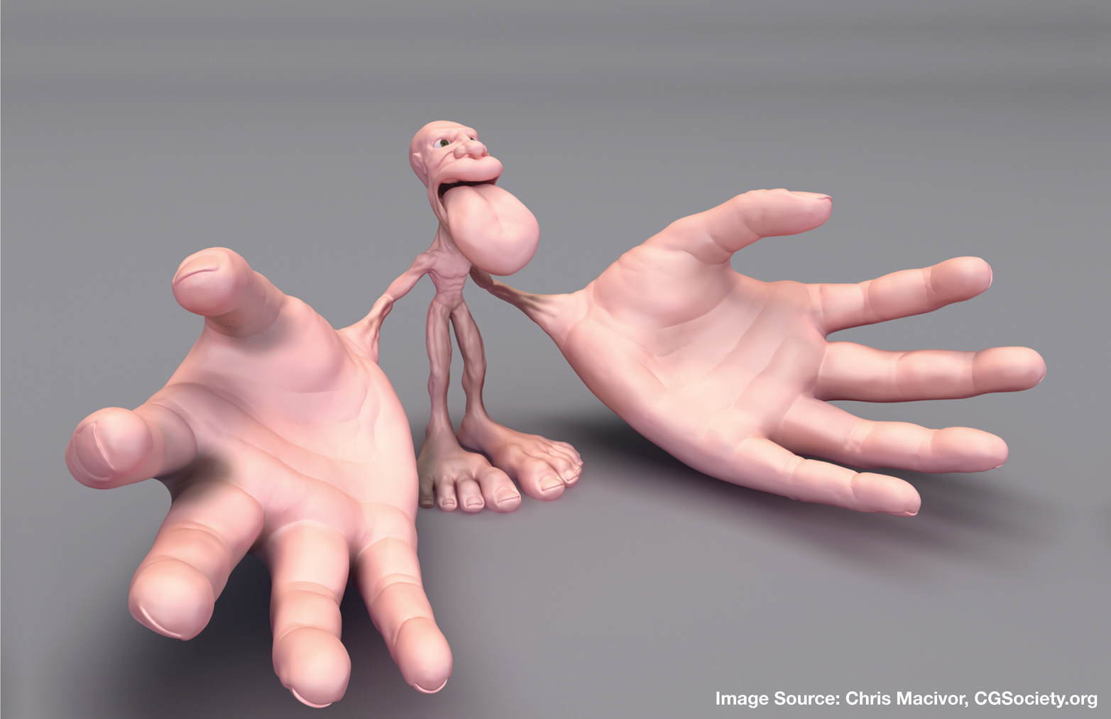 Motor homunculus