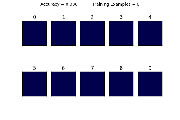 training size animation