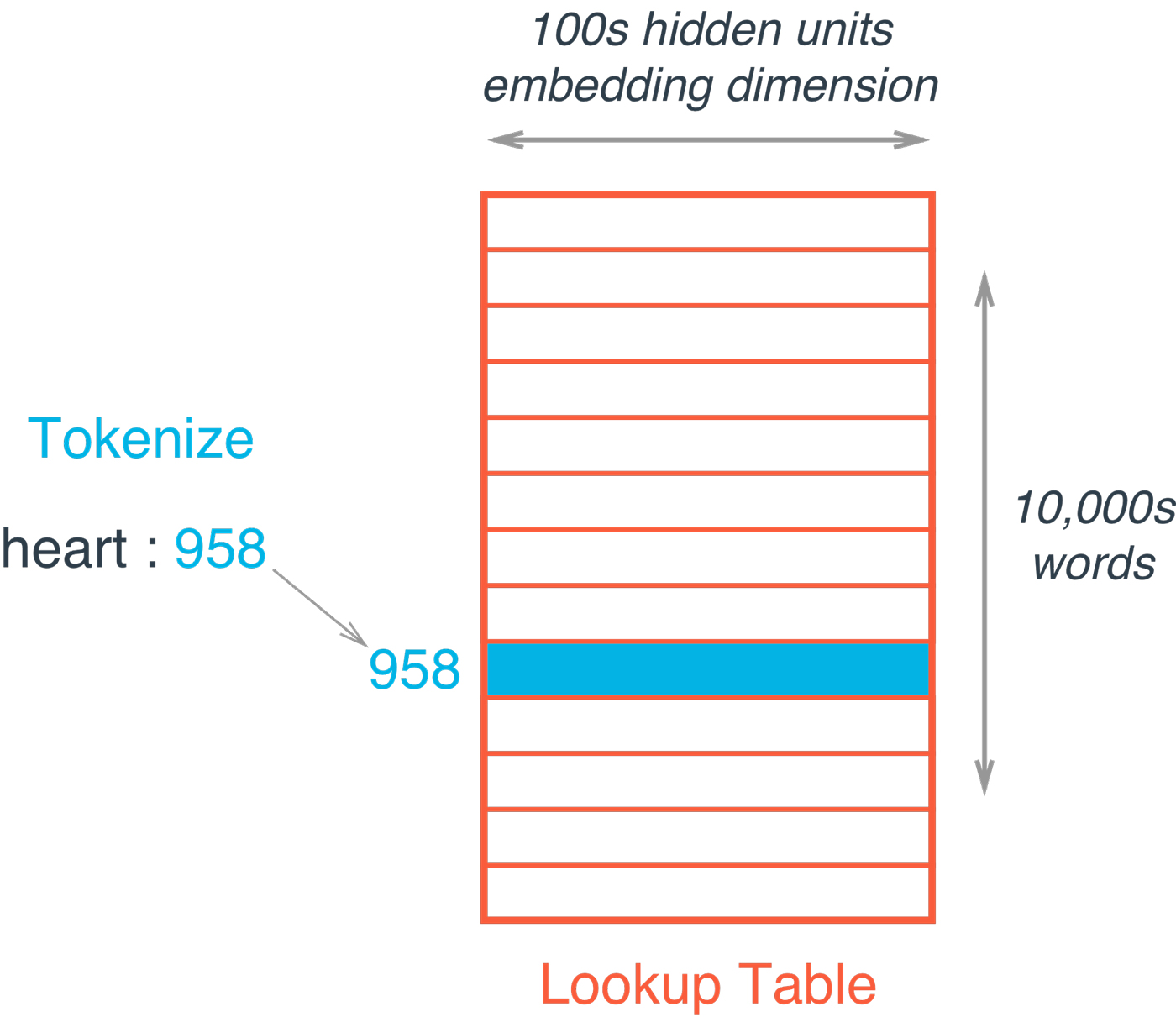 embedding lookup