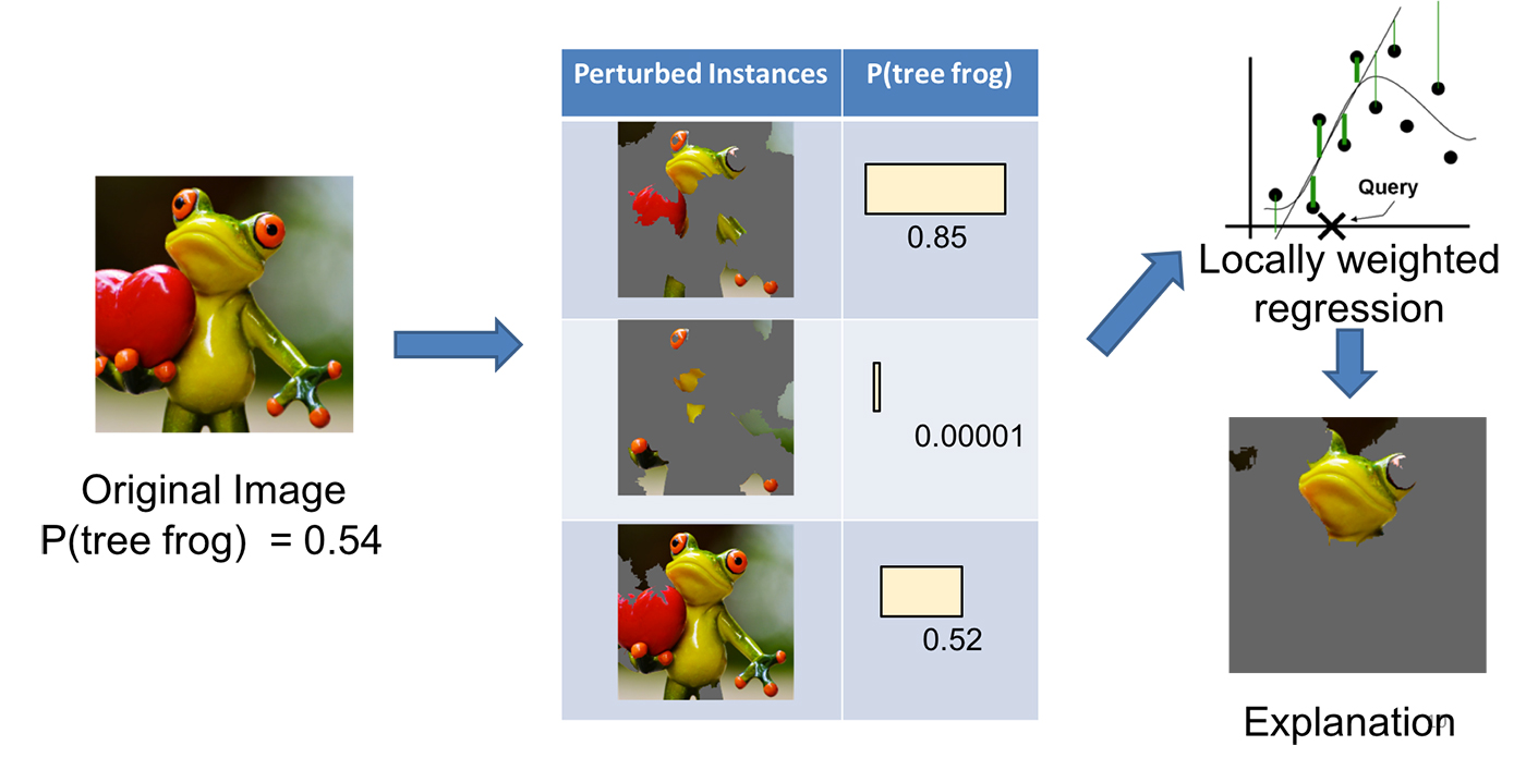 Appliation of LIME to image classification task