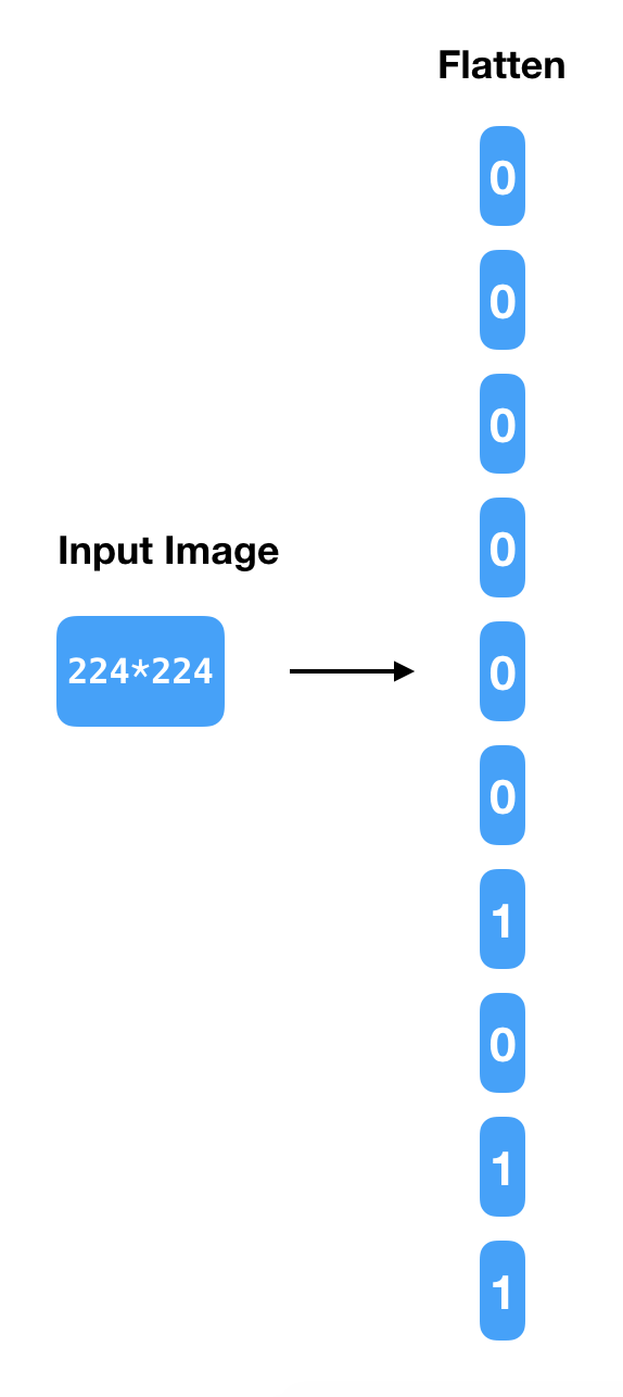 flattened input