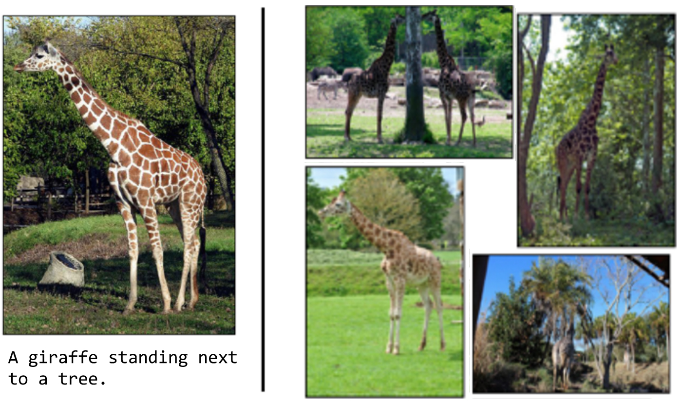 image-caption pair