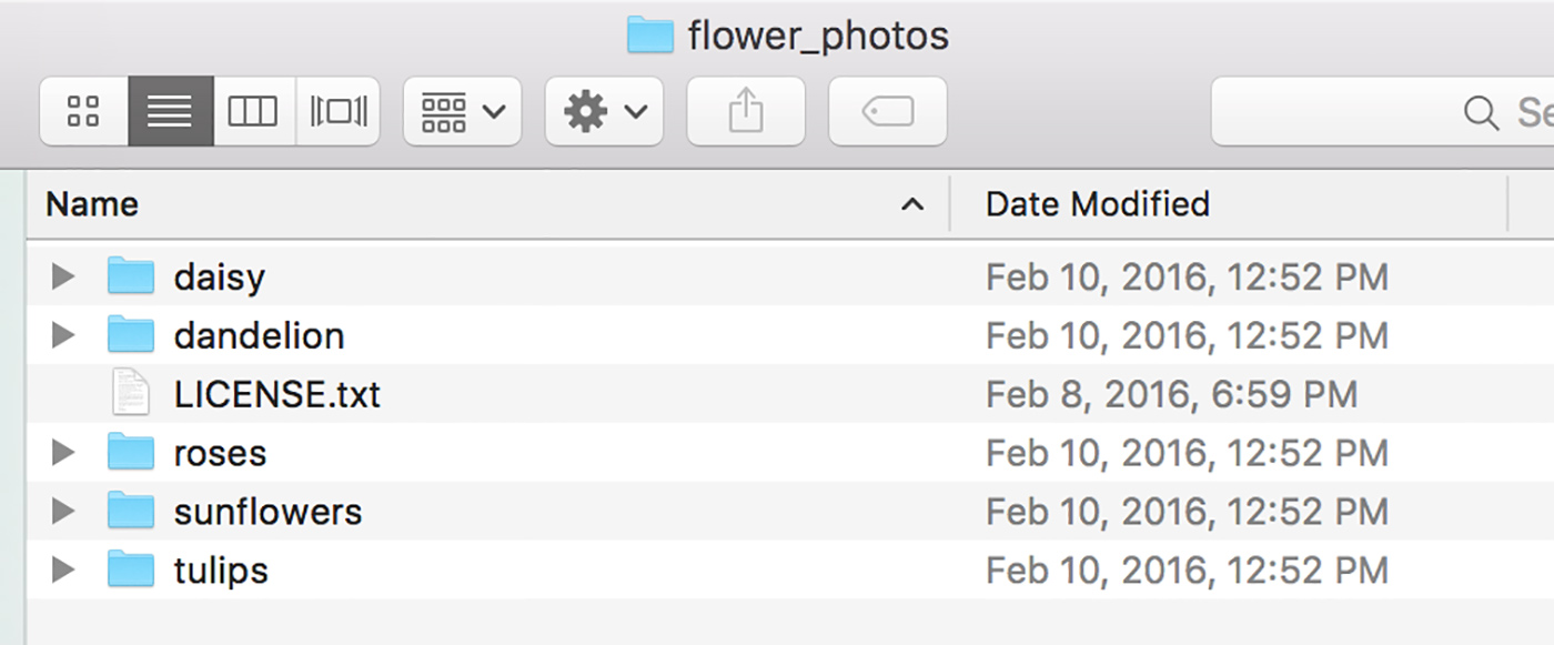 flower image