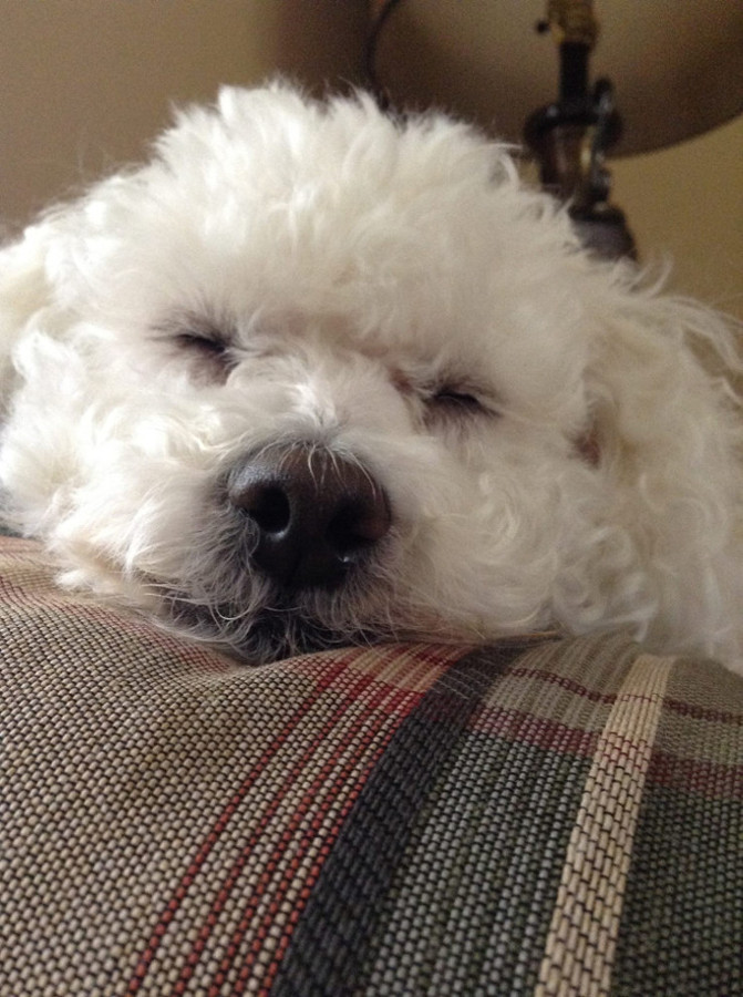 Merv sez, 'Don't panic.'