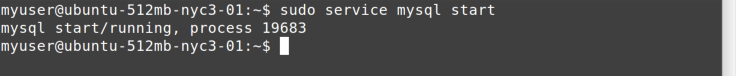 service start command