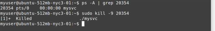 kill -9 command
