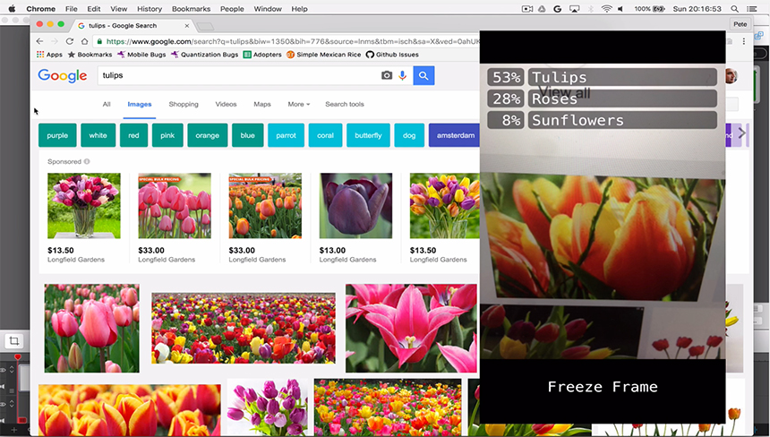 Tulip image search results with iPhone app screen overlay